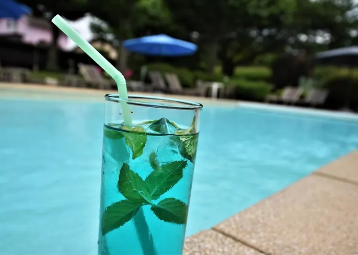 Logis Saint Simond 3*