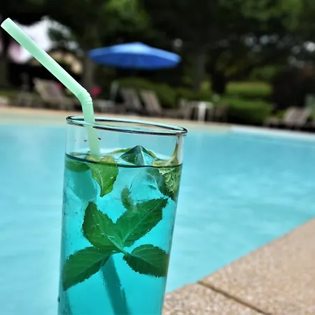 Logis Saint Simond 3*