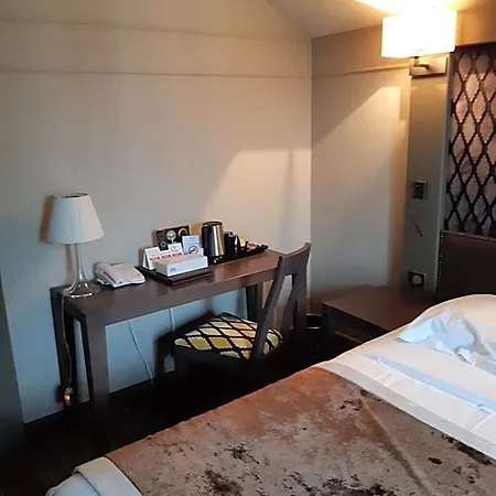 Logis Saint Simond 3* Aix-les-Bains