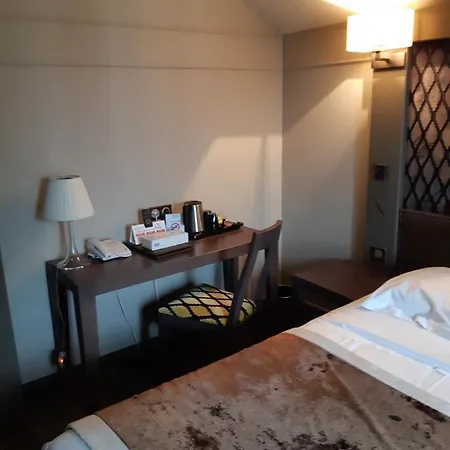 Hotel Logis Saint Simond Aix-les-Bains