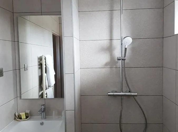 Logis Saint Simond 3* Aix-les-Bains